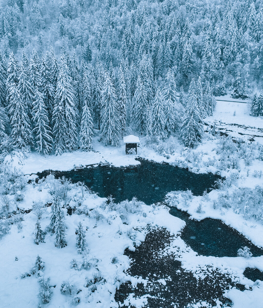 Zelenci, a Száva forrása | Fotó: Giorgia Meloni