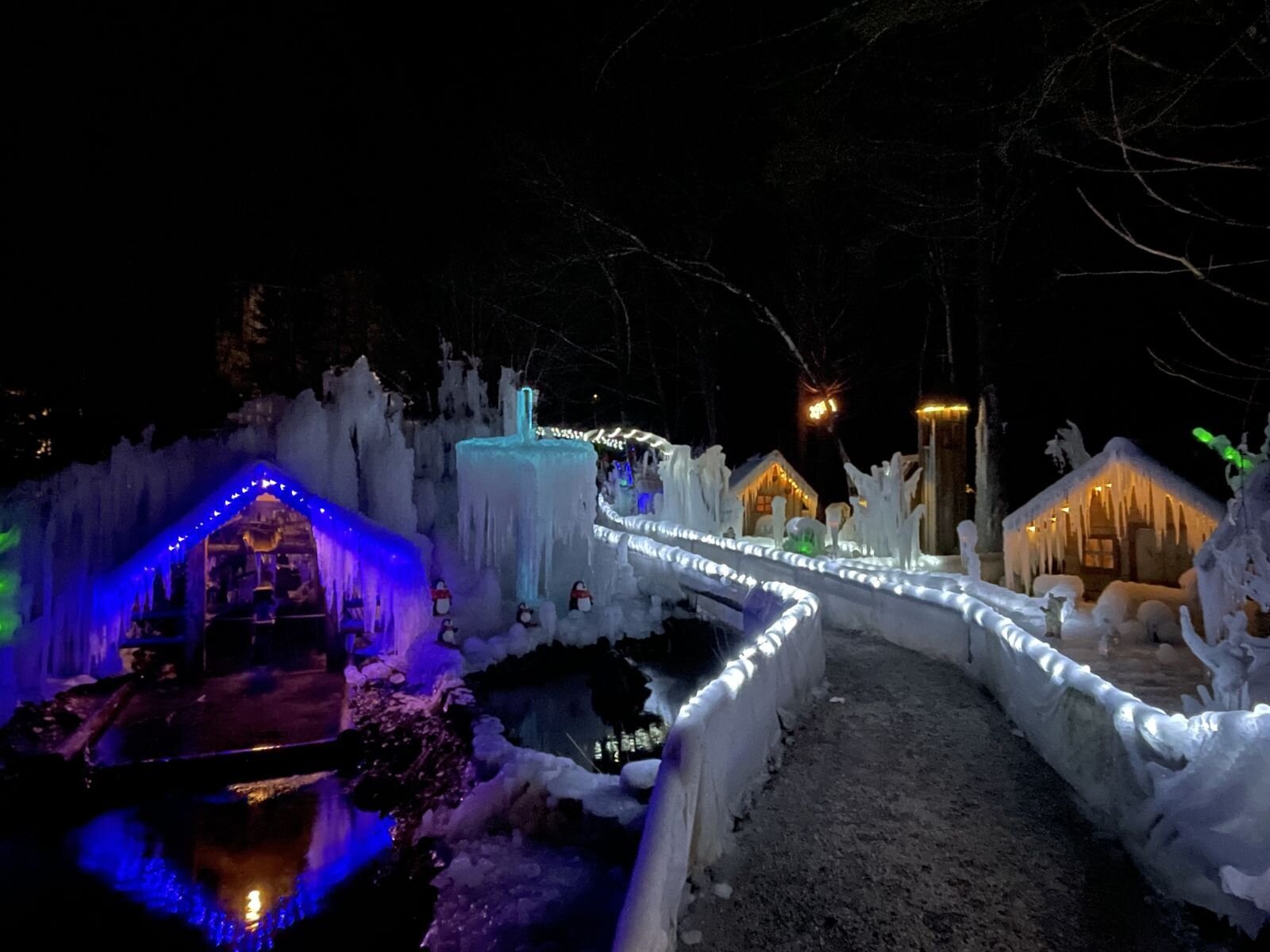 "Jeges királyság" | Fotó: Benjamin Crv