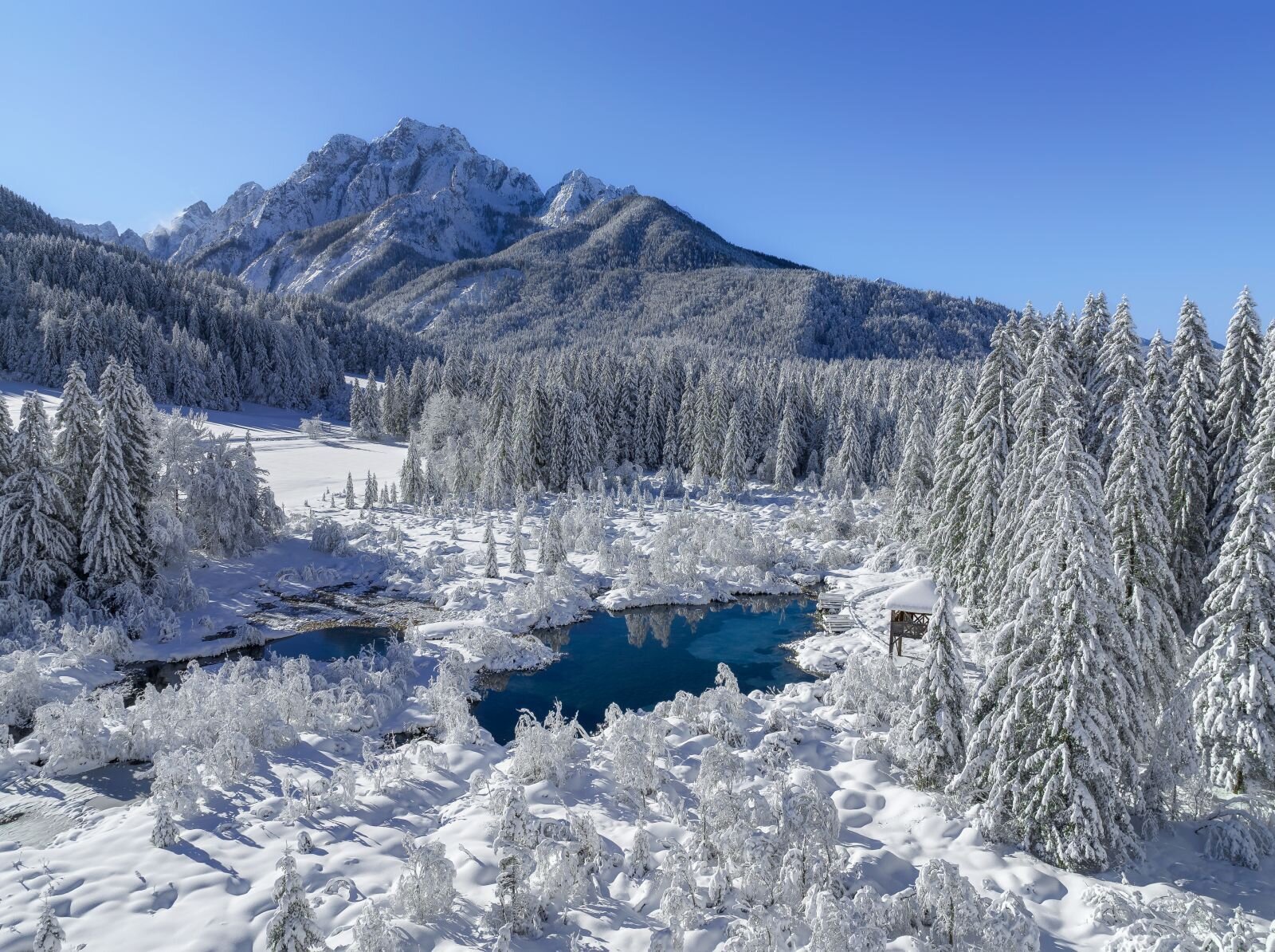 Zelenci | Fotó: Ales Krivec