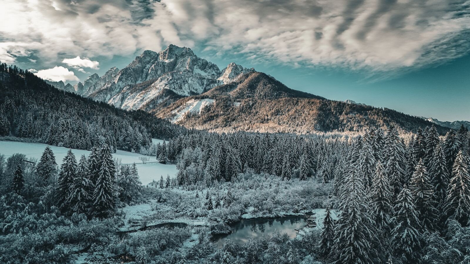 Zelenci | Fotó: Bor Benet