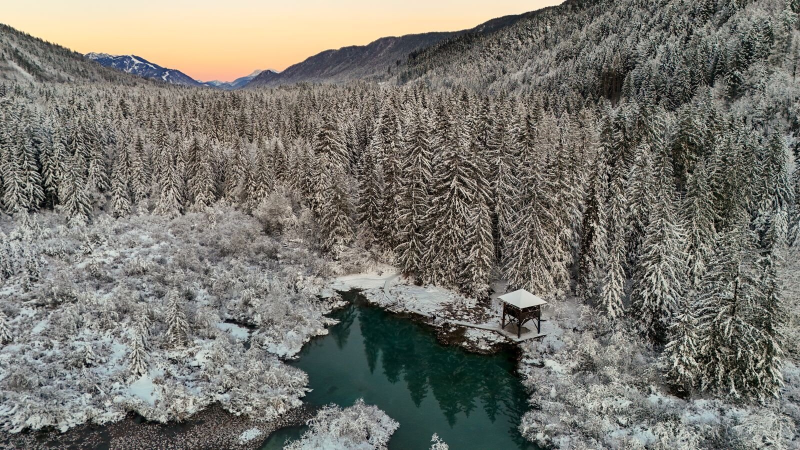 Zelenci | Fotó: Bor Benet