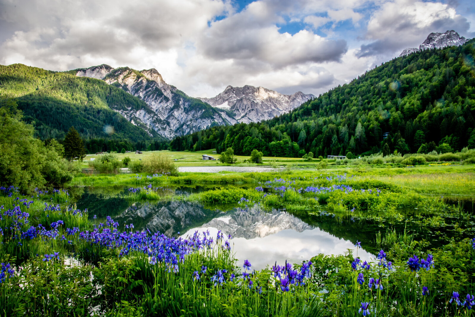 Ledine | Fotó: Bogomir Kosir