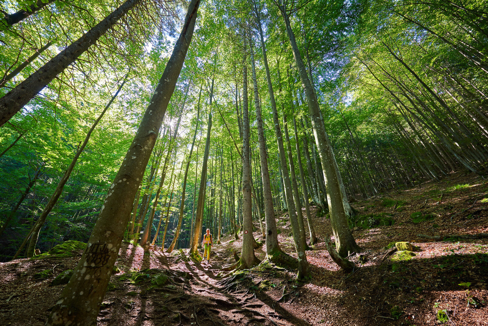 Kirándulás a Martuljek-vízeséshez Fotó: Tomo Jesenicnik / slovenia.info