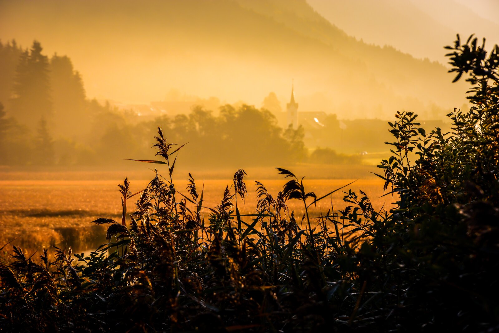 Podkoren | Fotó: Bogomir Kosir