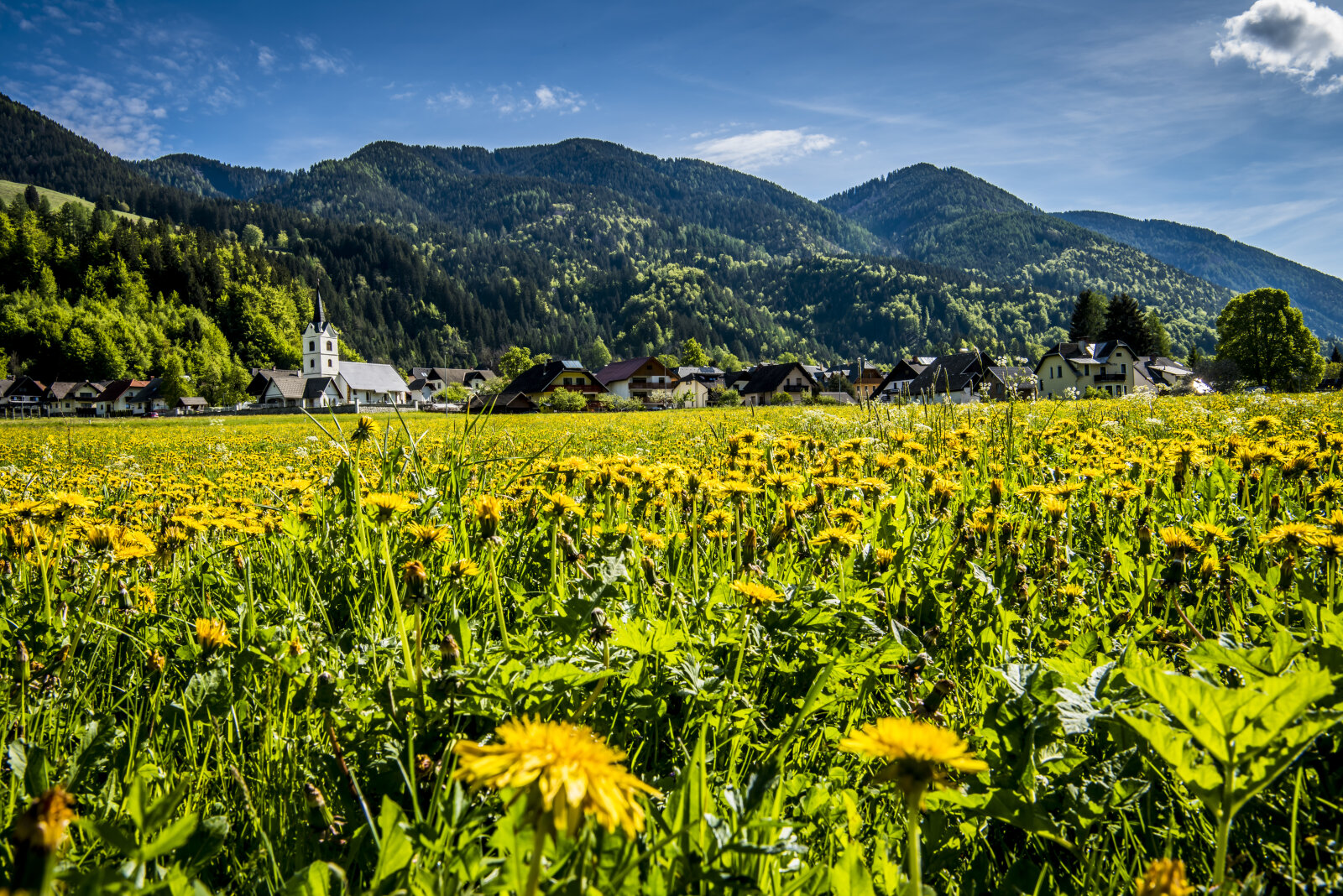 Podkoren | Fotó: Bogomir Kosir