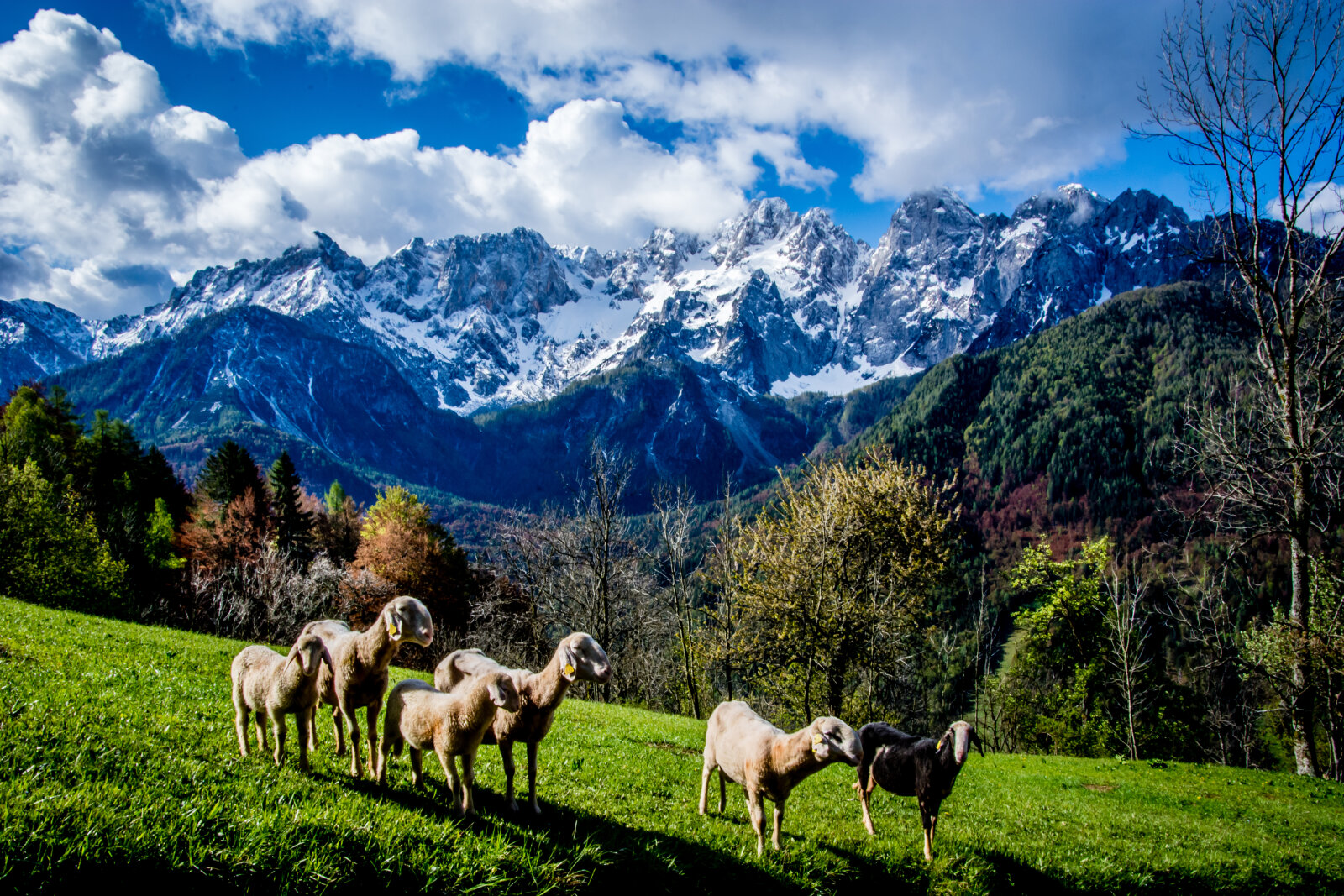 Srednij | Fotó: Bogomir Kosir