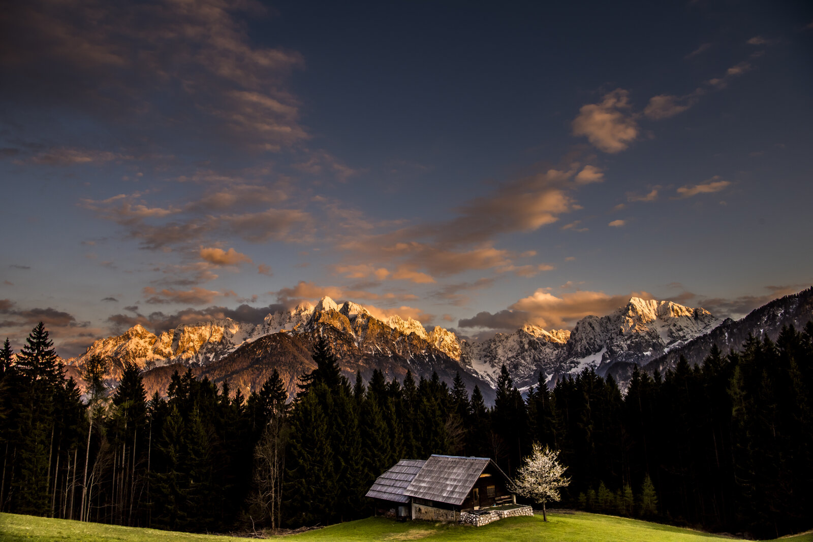 Srnjak | Fotó: Bogomir Kosir