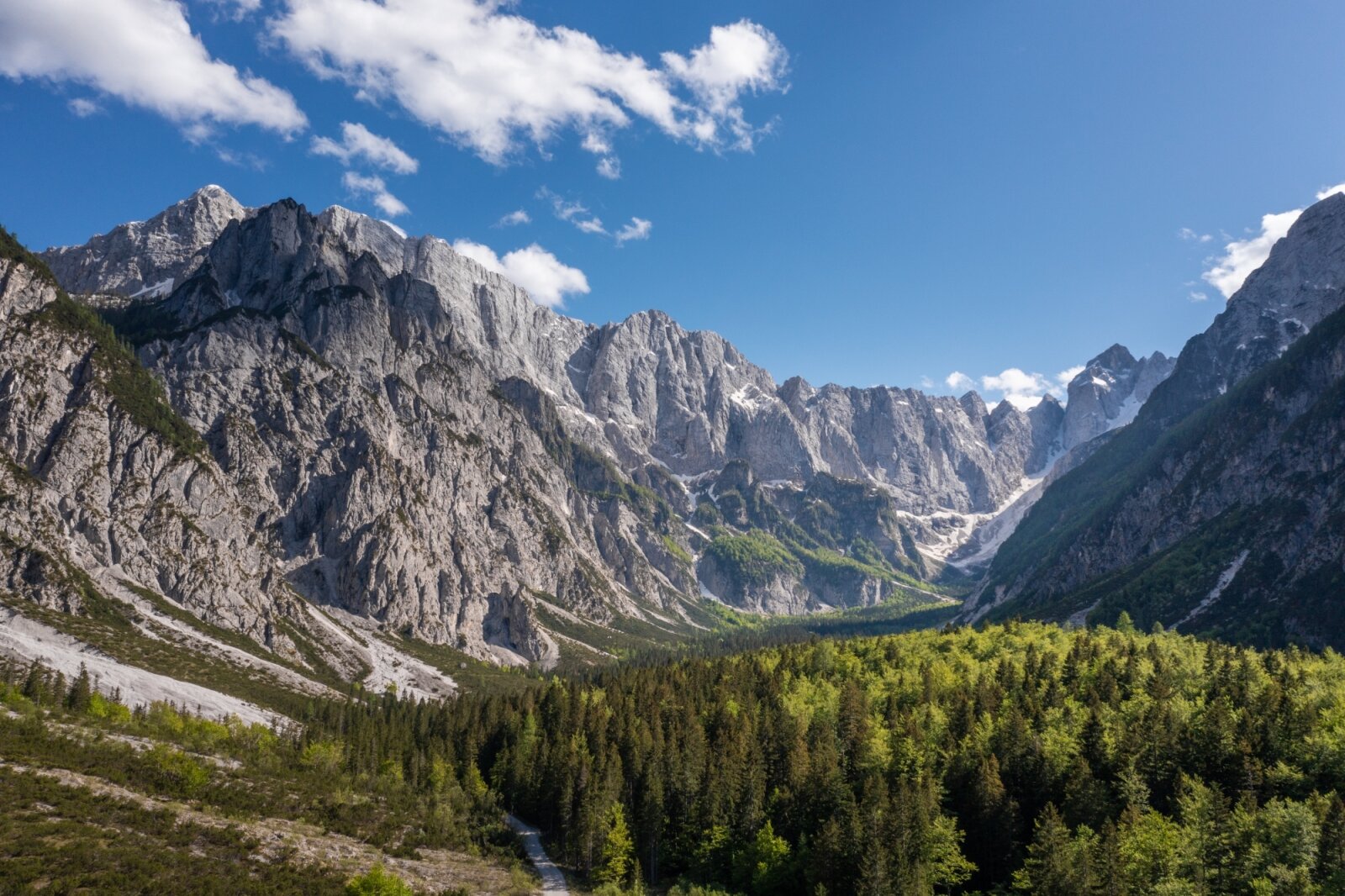 Tamar | Fotó: Rozle Bregar