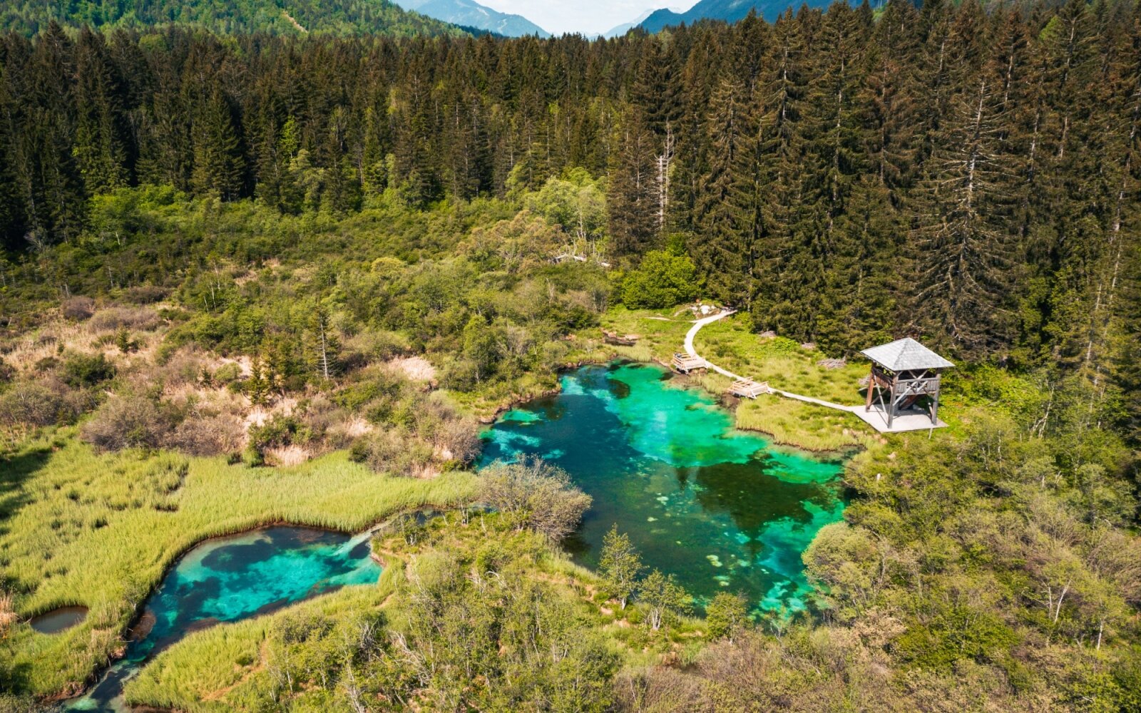 Zelenci | Fotó: Rozle Bregar