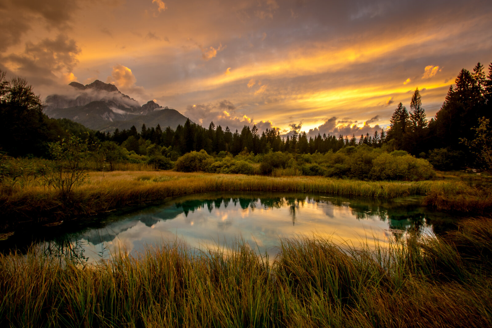 Zelenci | Fotó: Bogomir Kosir