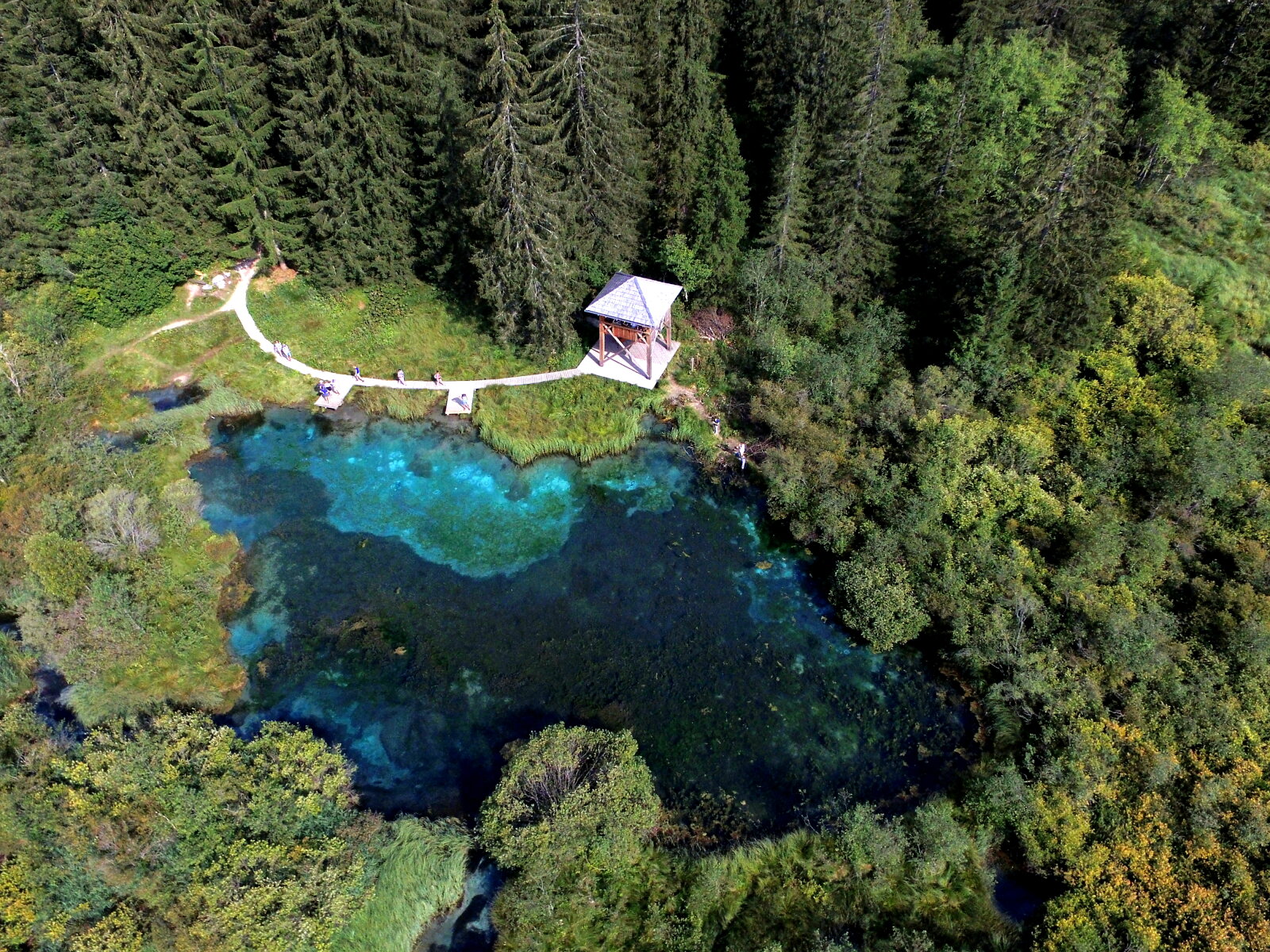 Zelenci | Fotó: Bostjan Mihelak