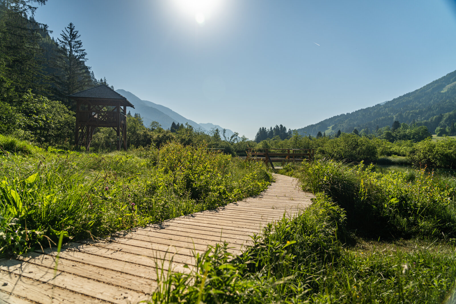 Zelenci | Fotó: Grega Teraz