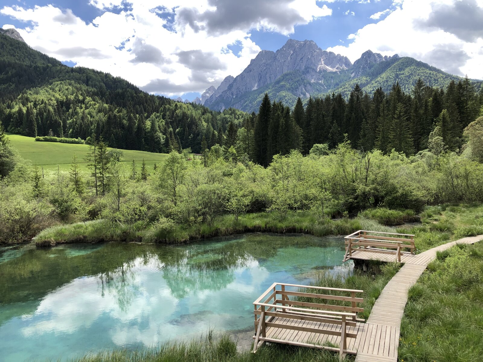 Zelenci: a Száva forrása Kranjska Gora és Planica között található, egy kirándulóösvényen közelíthető meg. | Fotó: Nasa Makovec