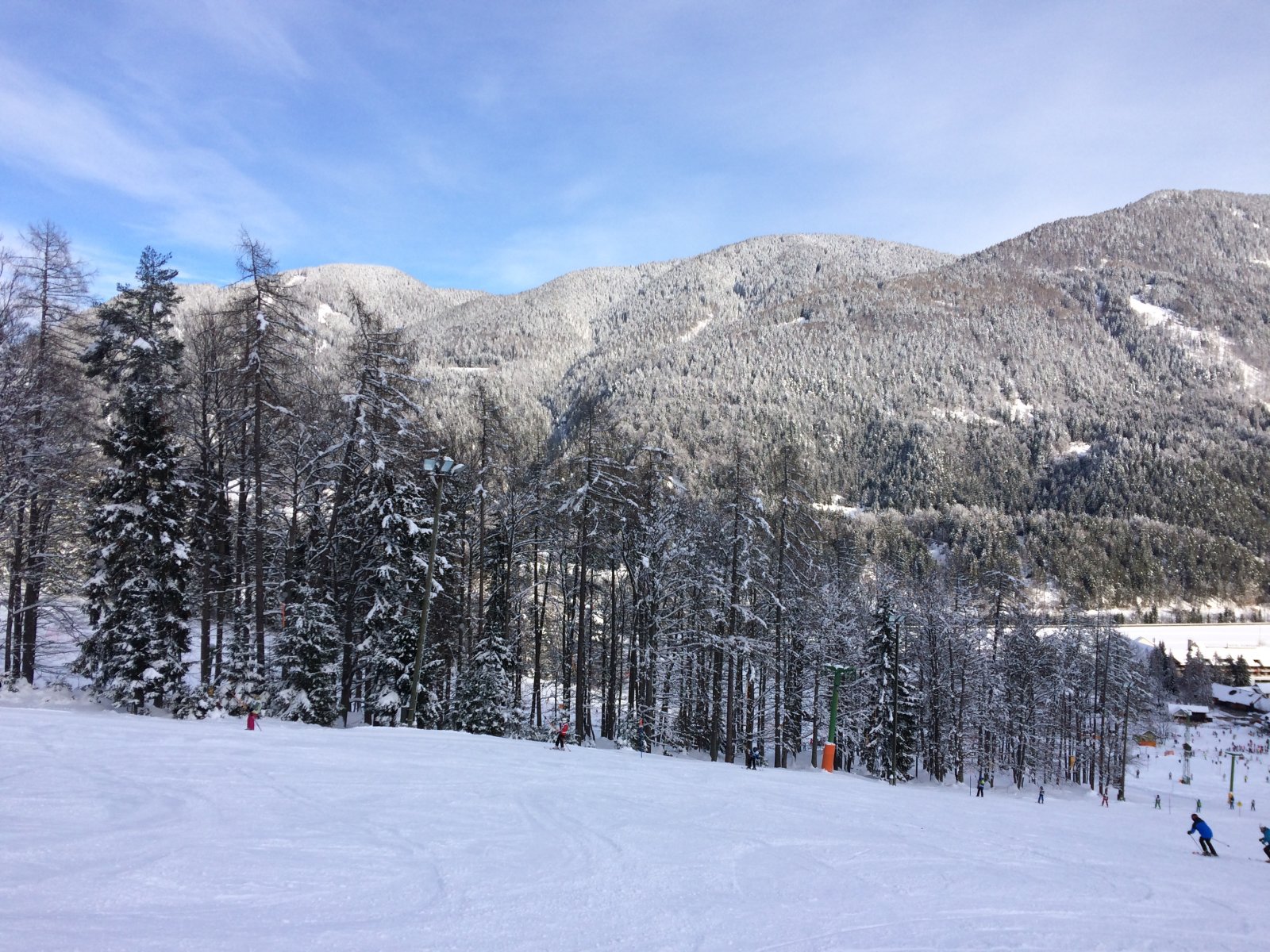 IMG-0528.JPG