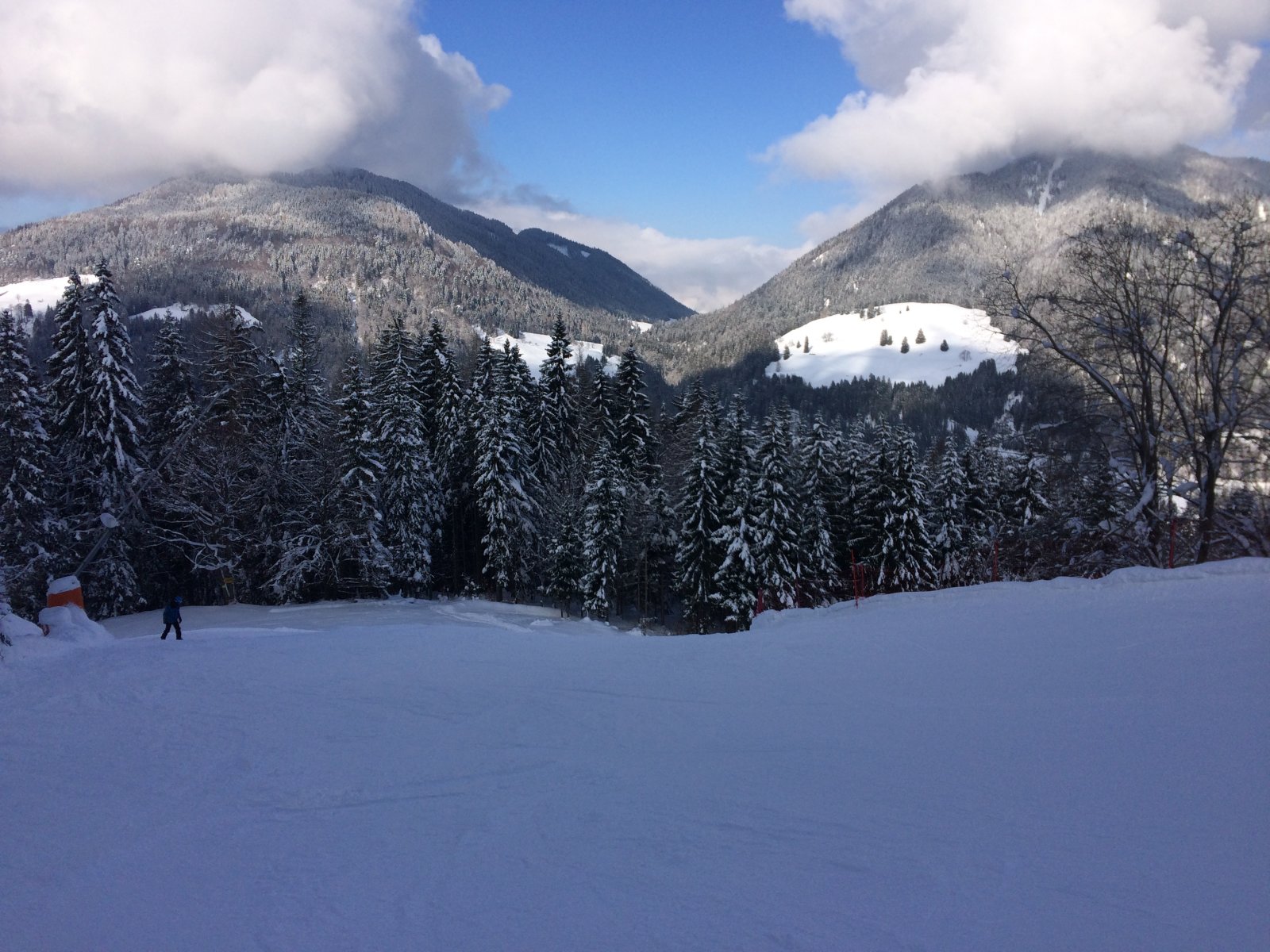 IMG-0533.JPG