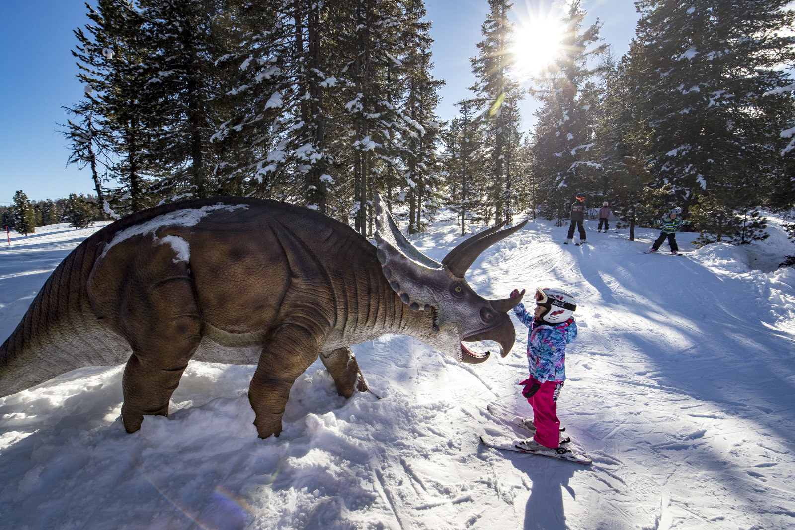 Kreischberg | Copyright: ikarus.cc