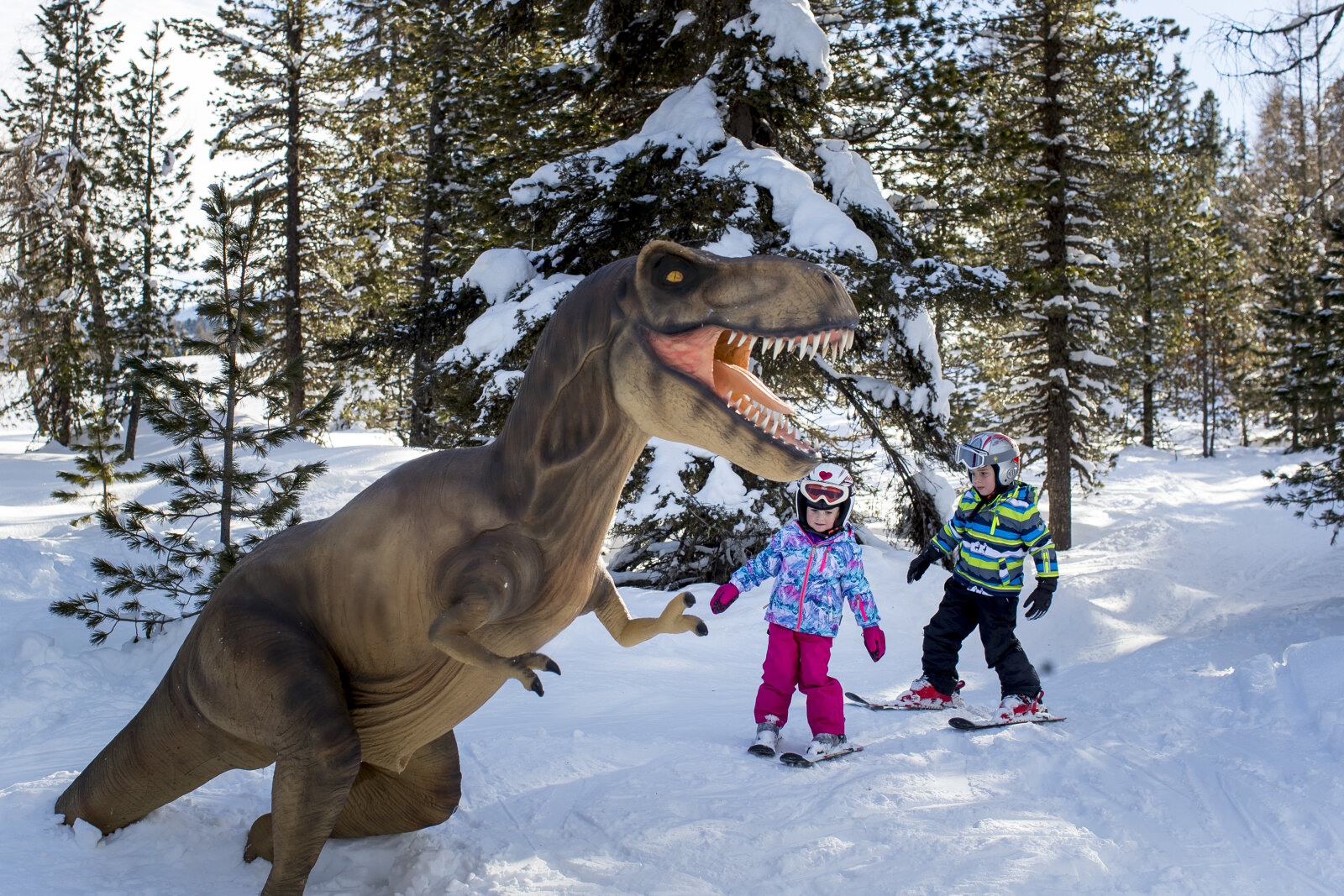 Dínó gyermekpálya Kreischbergen | Fotó: Ikarus
