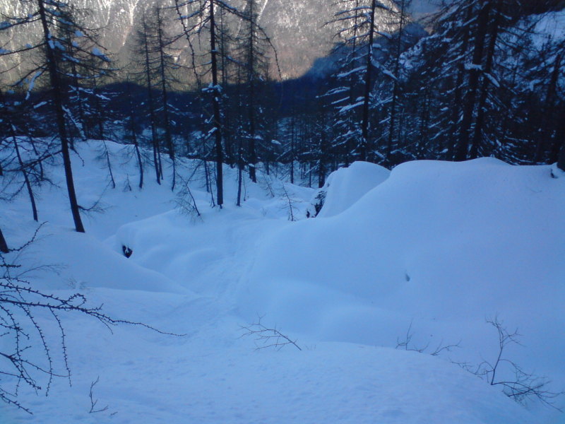 Line 4, Bucka-freeride