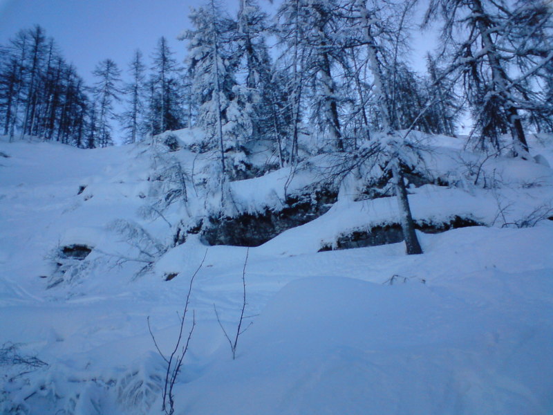 Line 3, Erdő felső széle