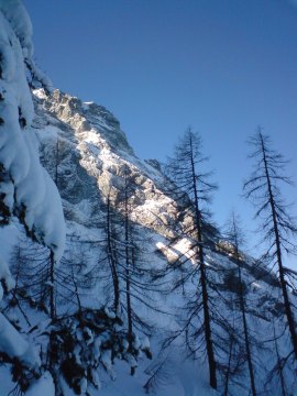 Line 4, Mindig árnyékban