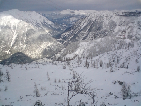 Line 4: A törpefenyves széle (2010.12.17)