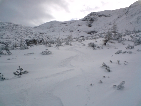 Line 4: A törpefenyvest már befújta a szél, jól járható (2010.12.17)