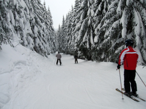 A pályák közti ösvényen.
