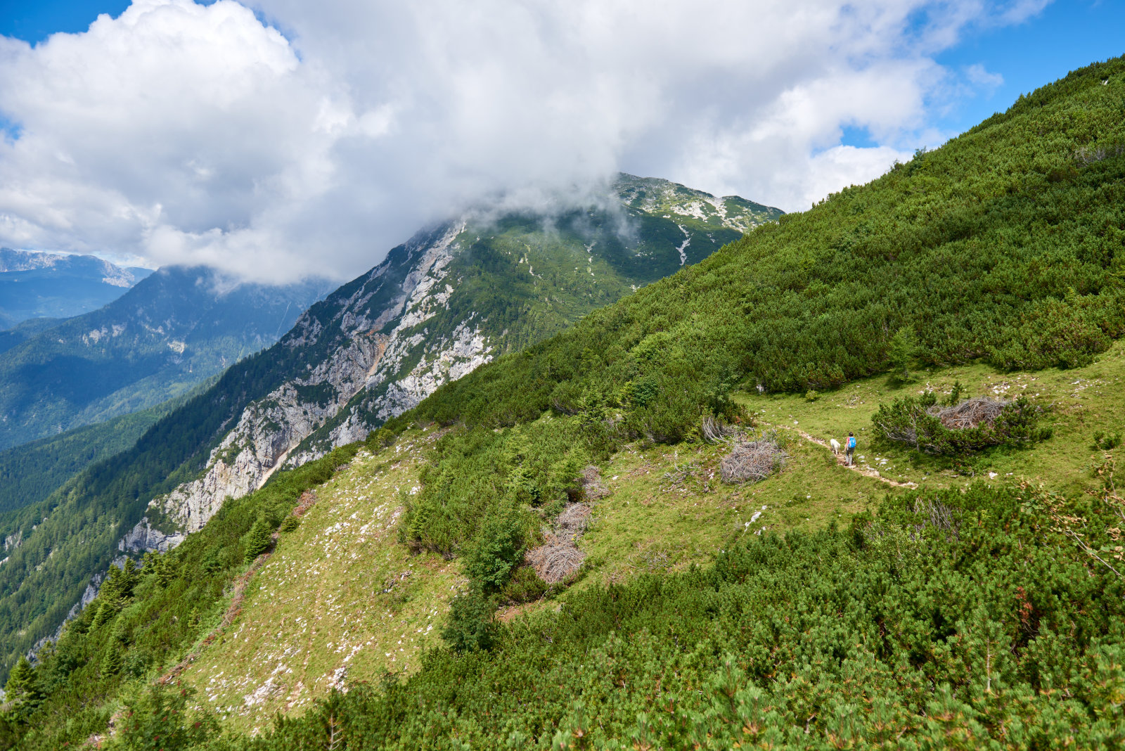 DSC-7148.jpg