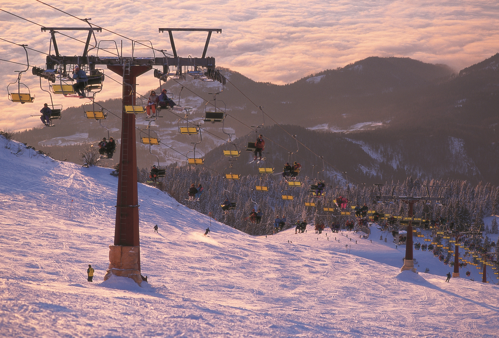 Krvaveci sífelvonó | Fotó: J. Skok