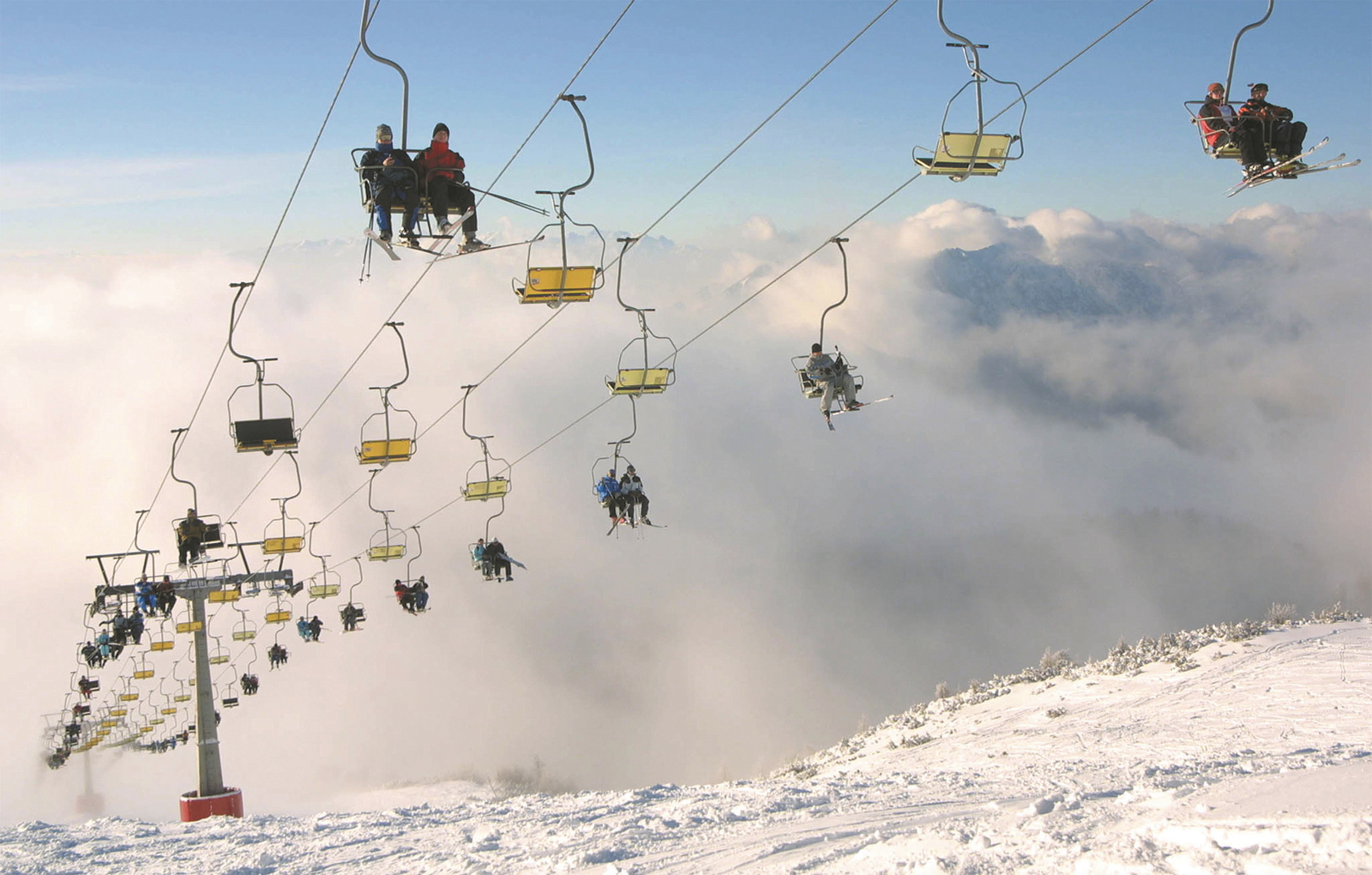 Krvaveci sífelvonó | Fotó: Bobo