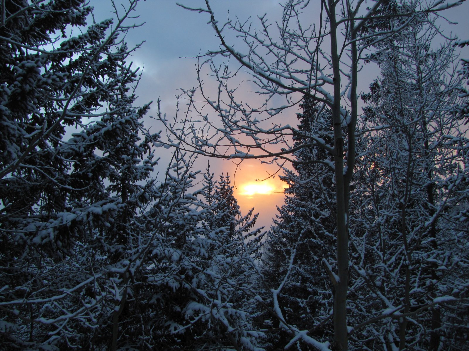 Naplemente a La Rosiere - Les Eucherts közti erdei sétányról