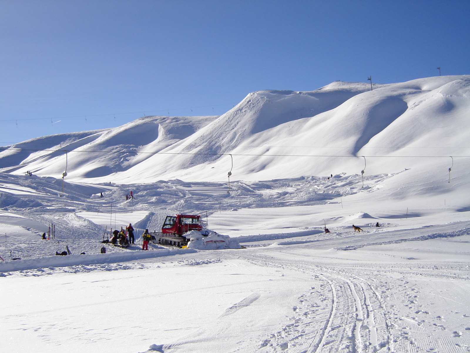 MENTŐKUTYÁK KIKÉPZÉSE