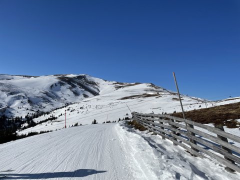 13ED6C65-8C63-41AD-9943-090654DA2C10.jpeg