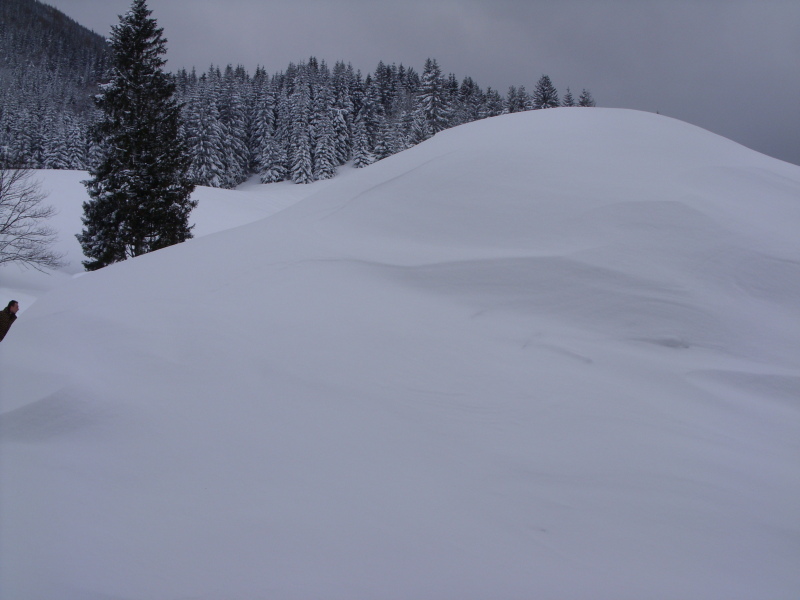 kilátás az ablakból