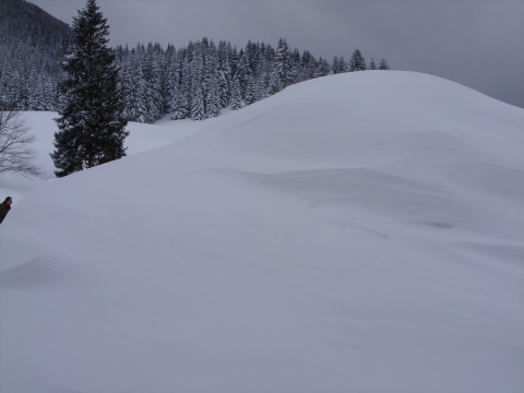 kilátás az ablakból