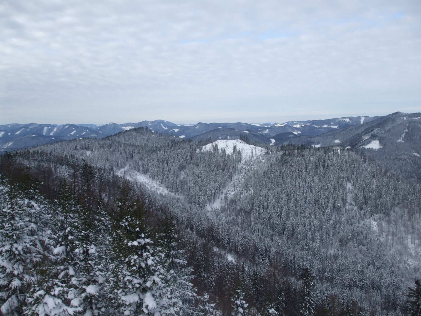 LACKENHOF 2010 DECEMBER