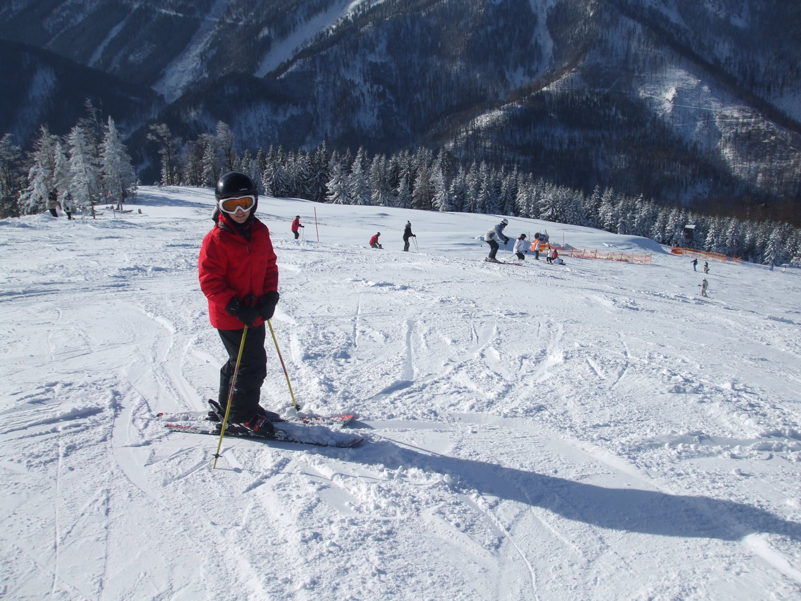 LACKENHOF 2010 DECEMBER