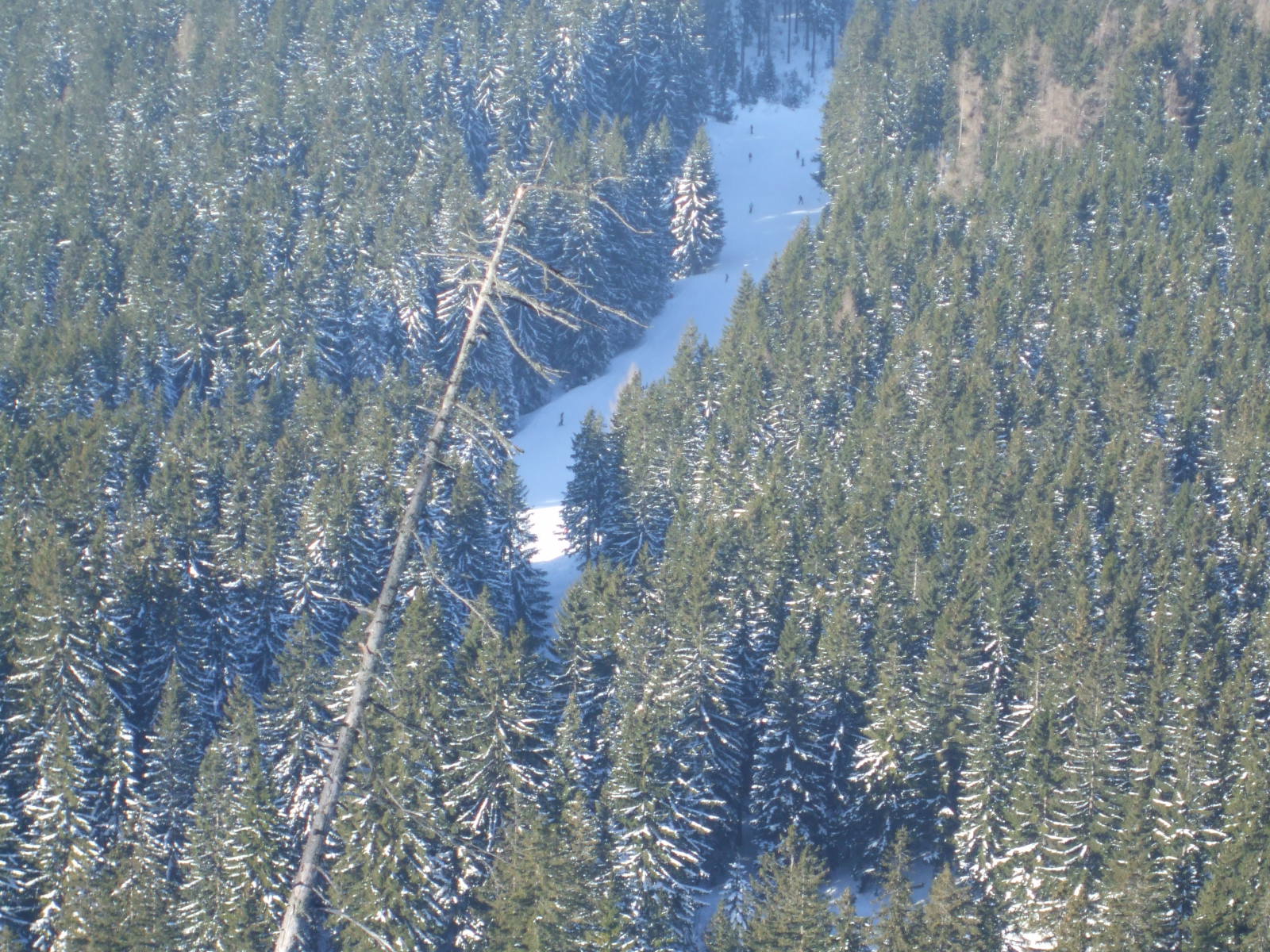 LACKENHOF 2010 DECEMBER