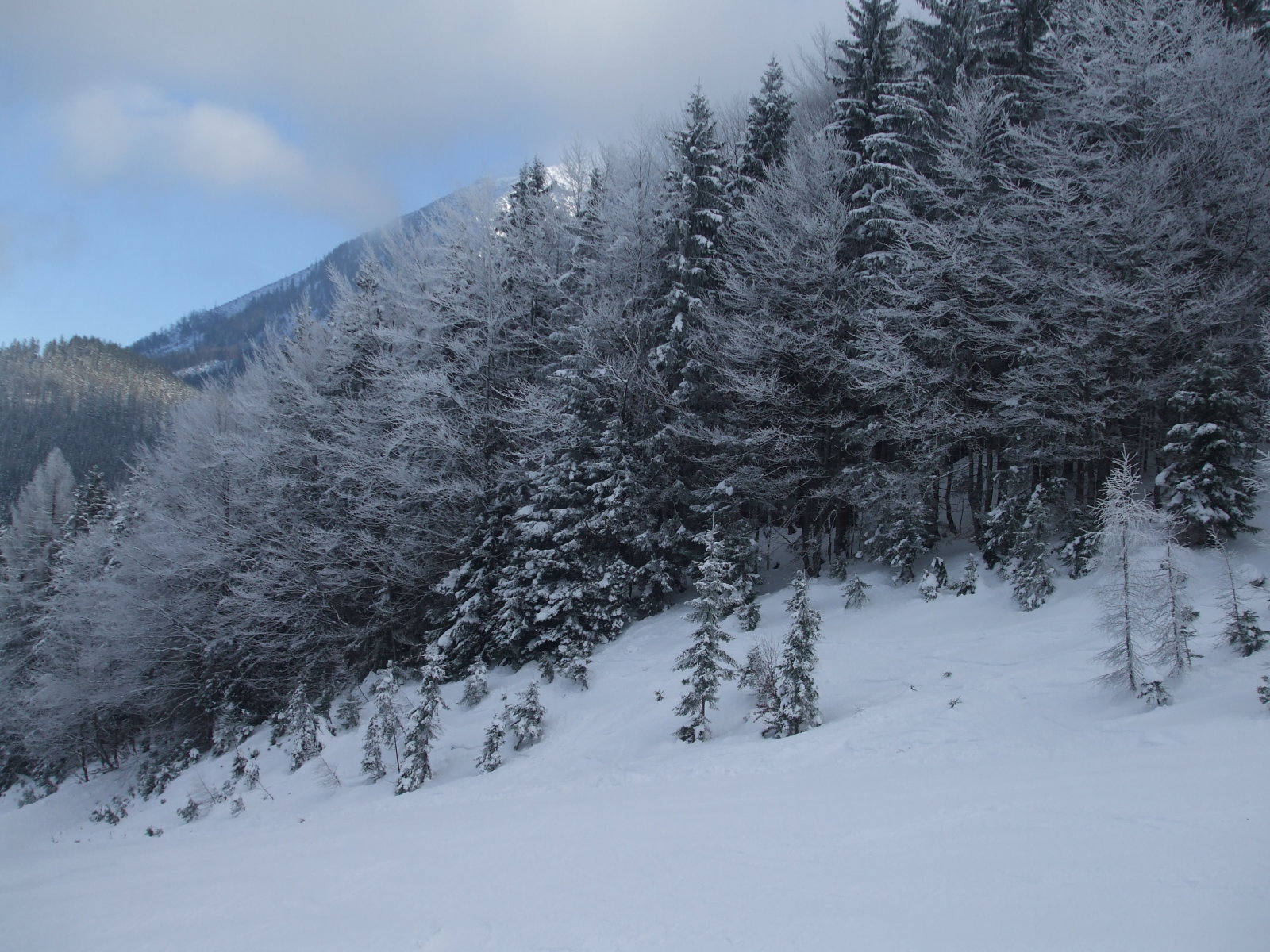 LACKENHOF 2010 DECEMBER