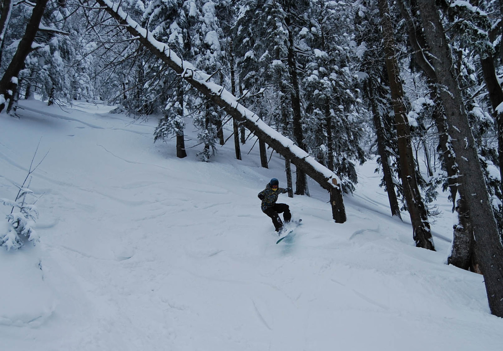 Alkalmas freeride terep a Nagy Ötscheren.