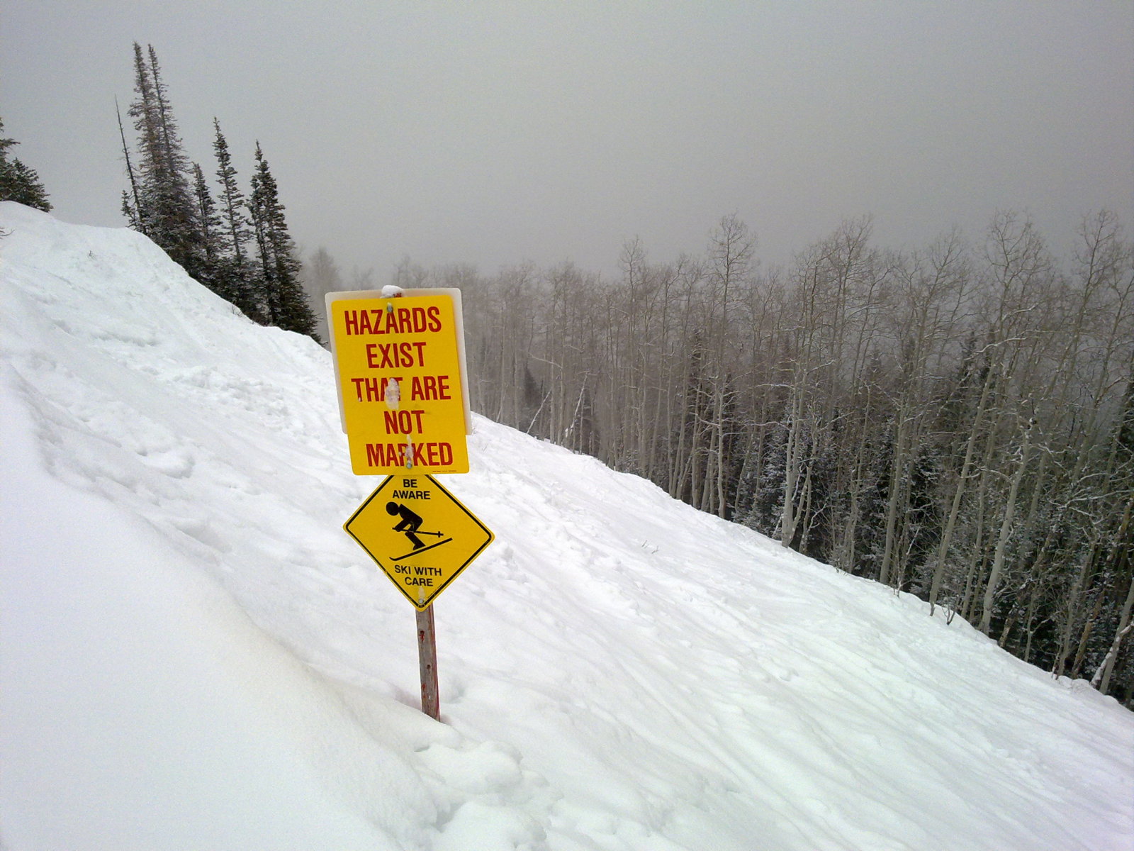 USA pályajelölések