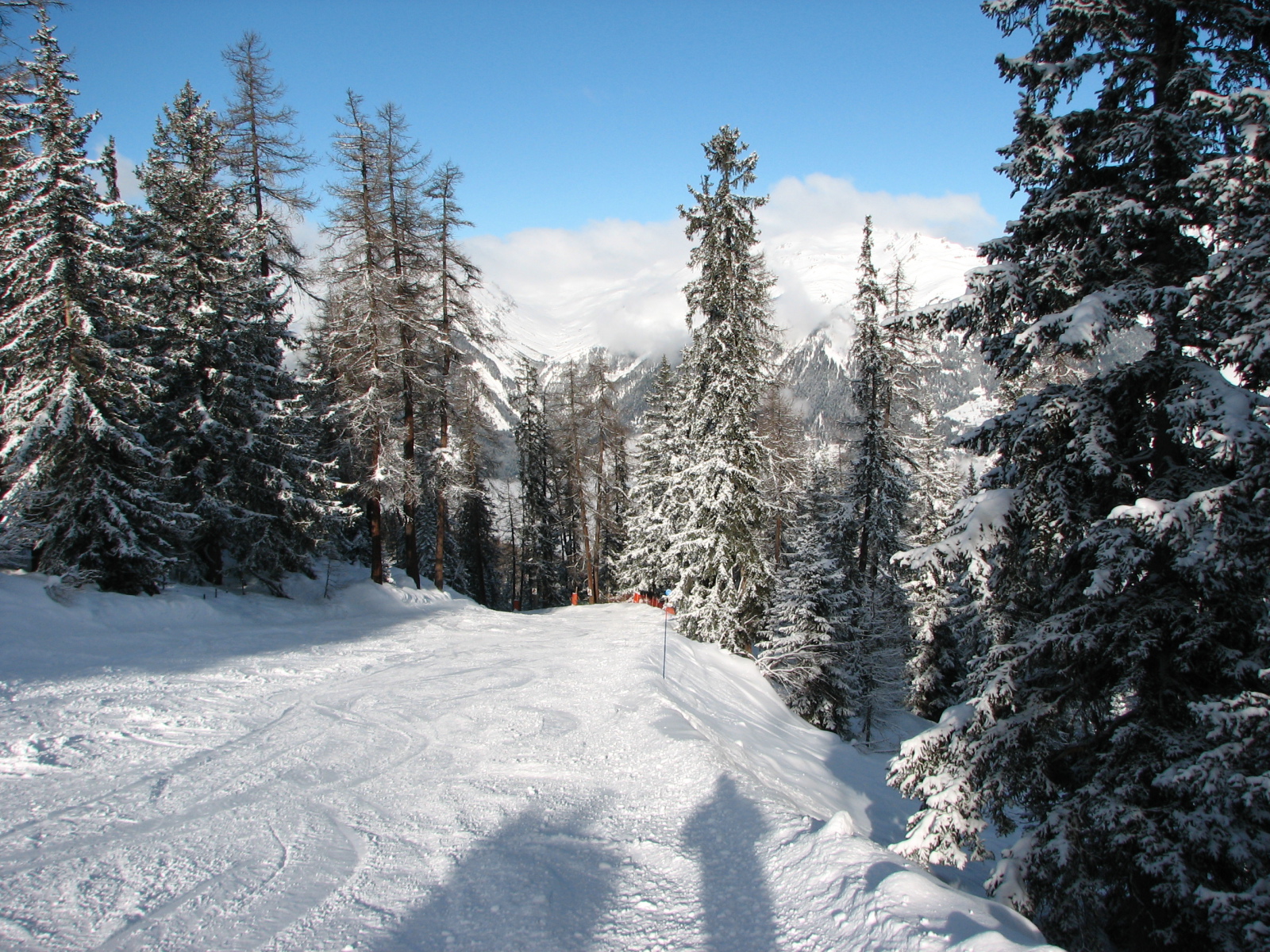 erdei pálya Aime alatt