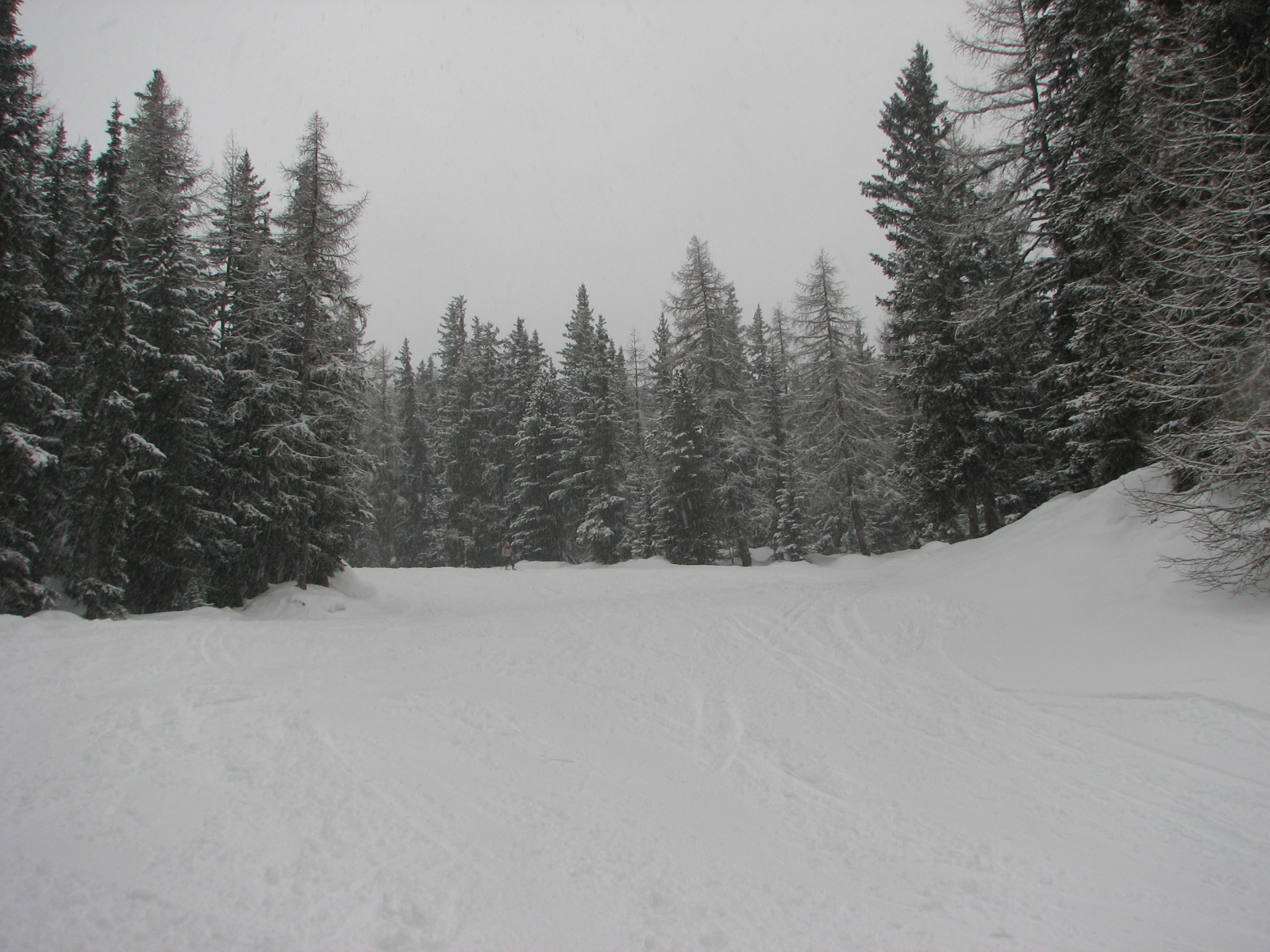 Montchavin feletti erdei pálya hóesésben