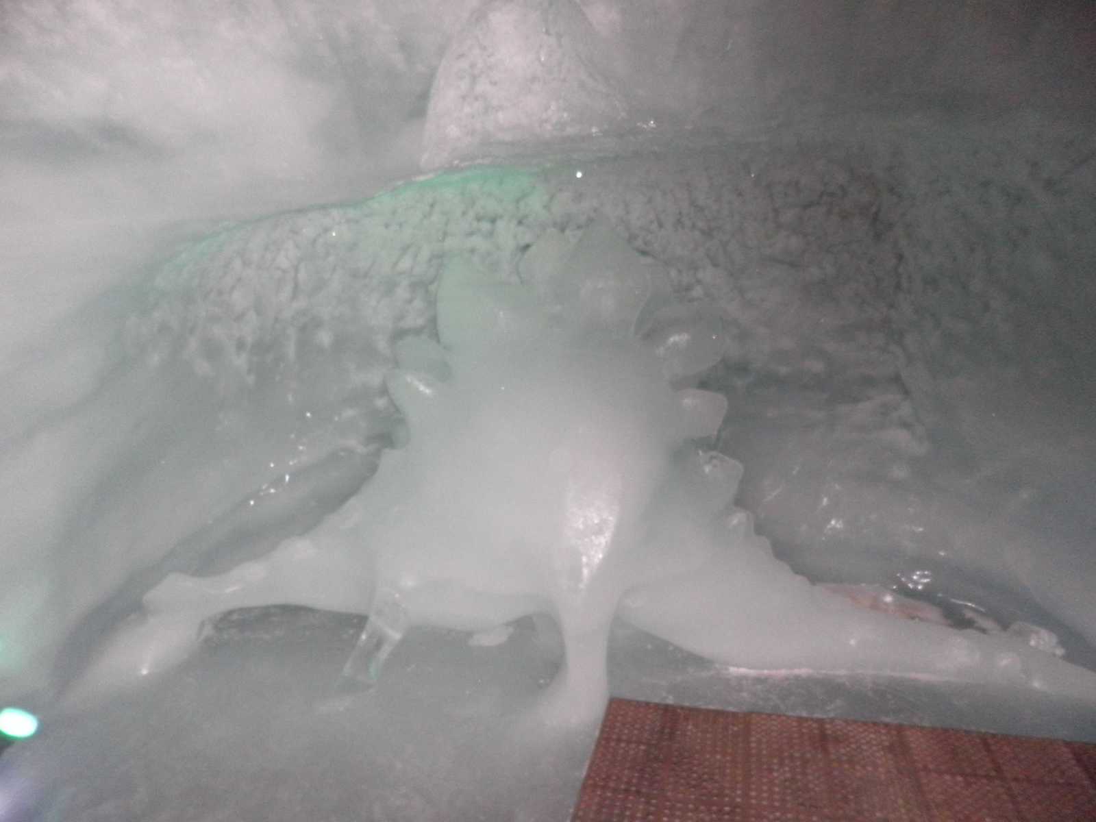 P1290131.jpg