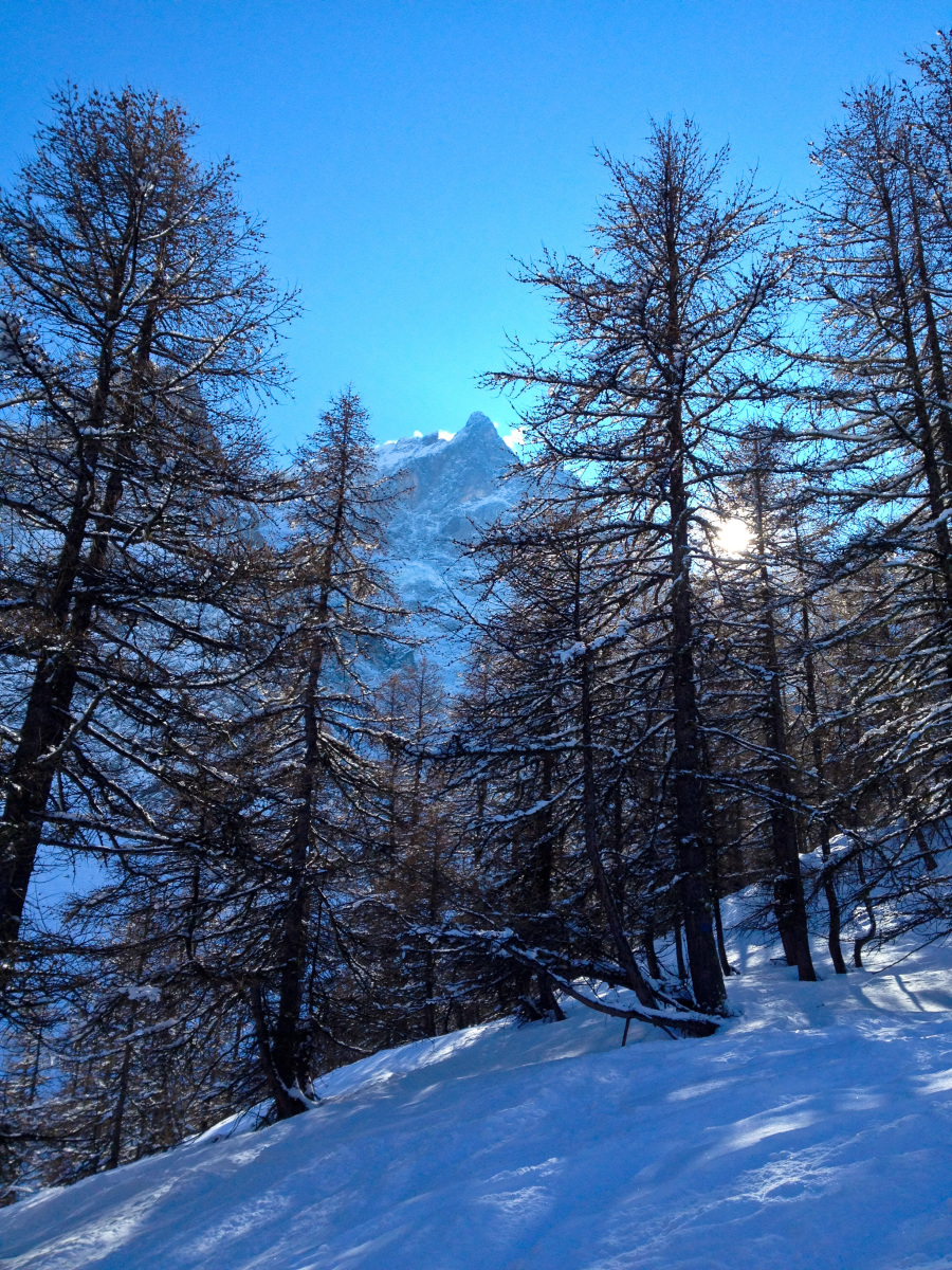 Le Meije csúcsa a fák között