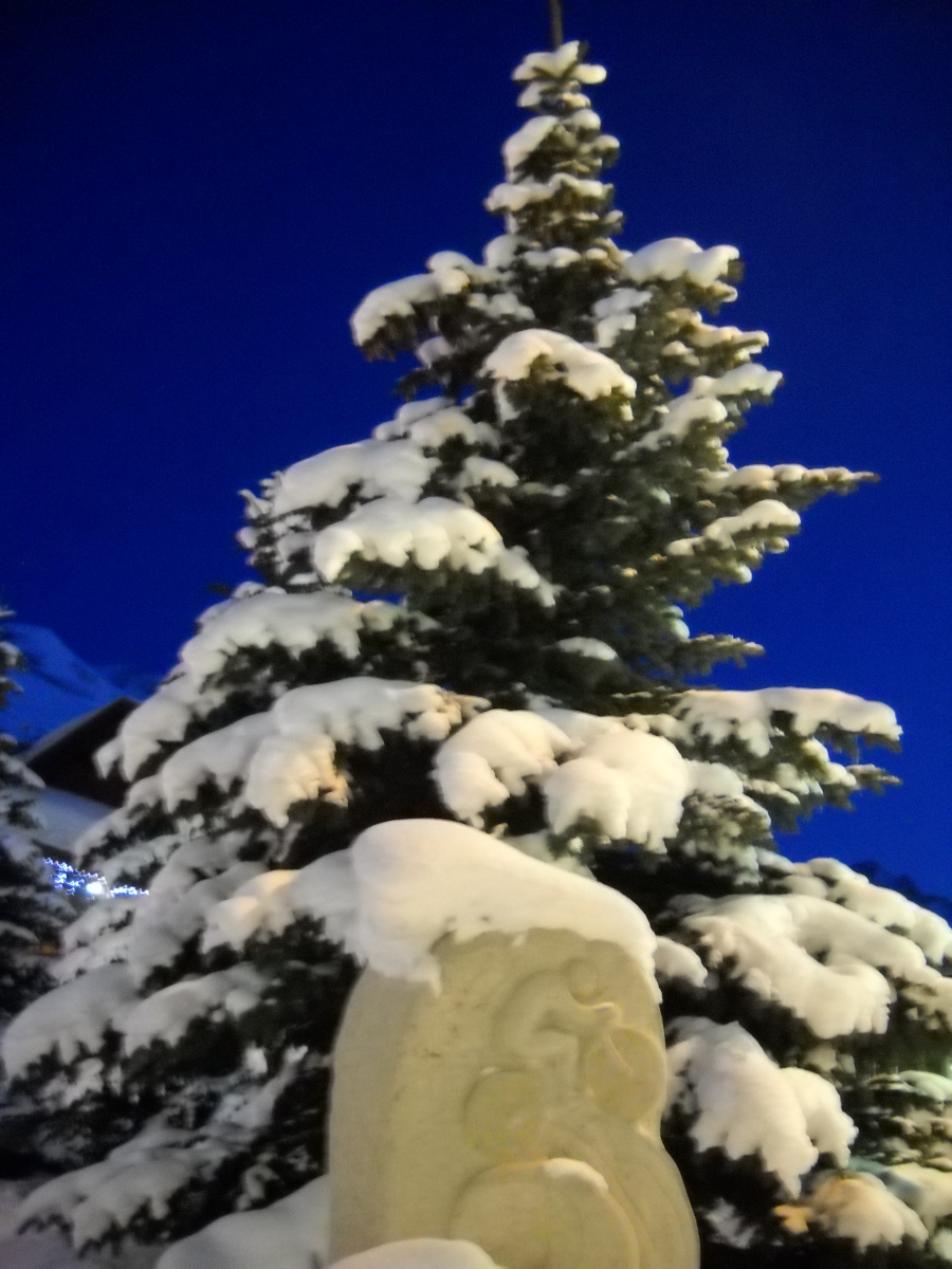 DSCN1350.jpg
