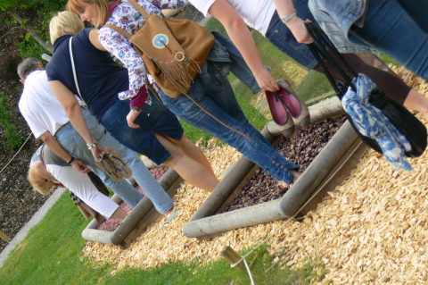 Talpalávalók a Vitalpinumban