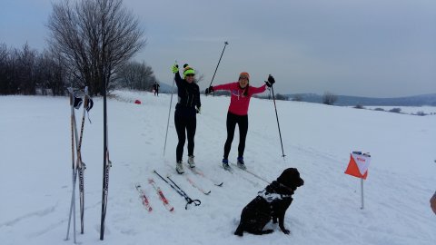Amatőr sífutók a Bakonyban megrendezett III. Lókút Klasszik versenyen | Fotó: Wesselényi Andrea
