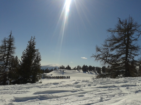 20140224-130345.jpg