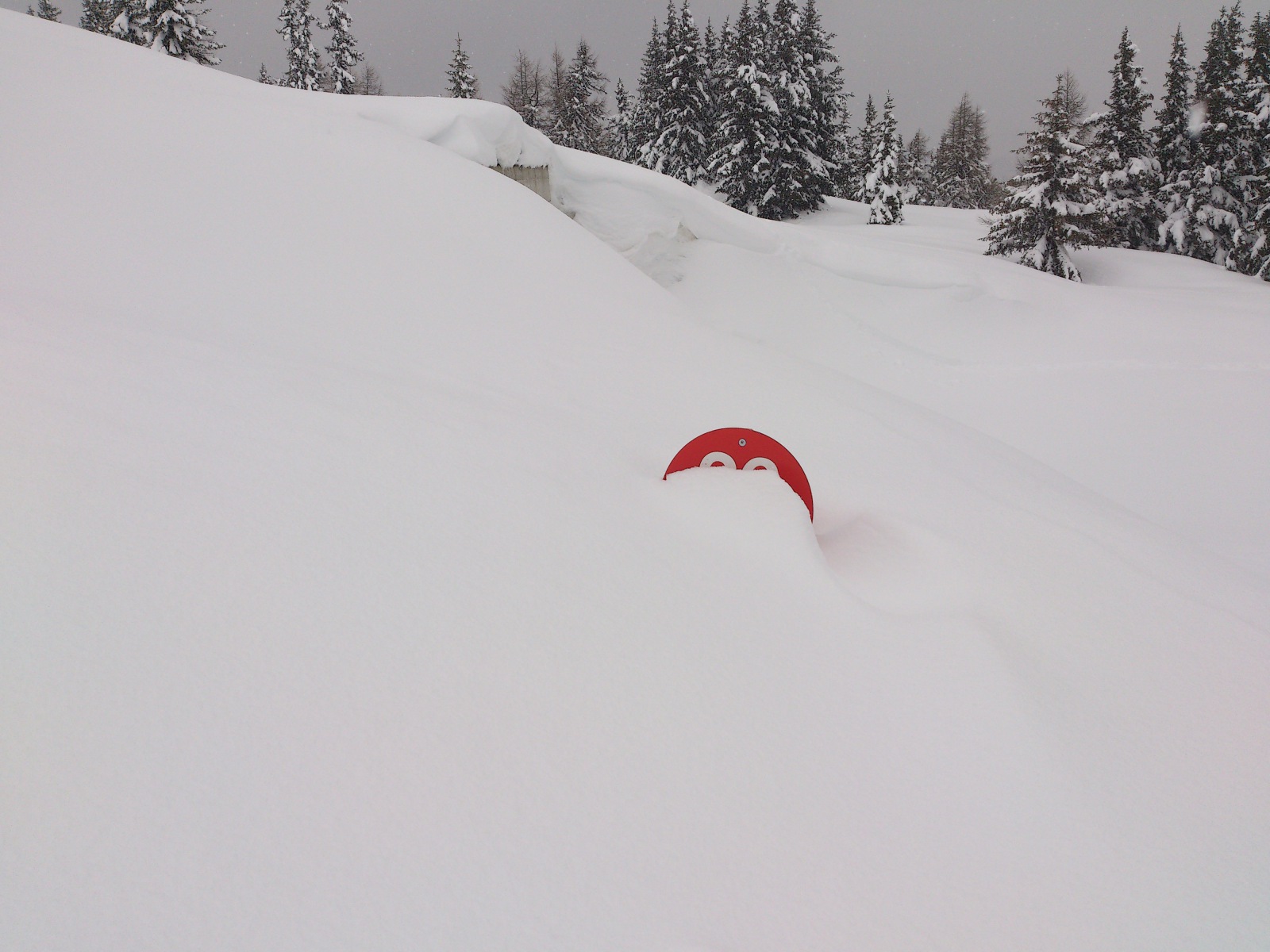 Vajon melyik pályán járunk.....